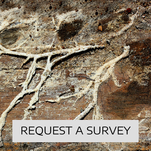 Request a Survey