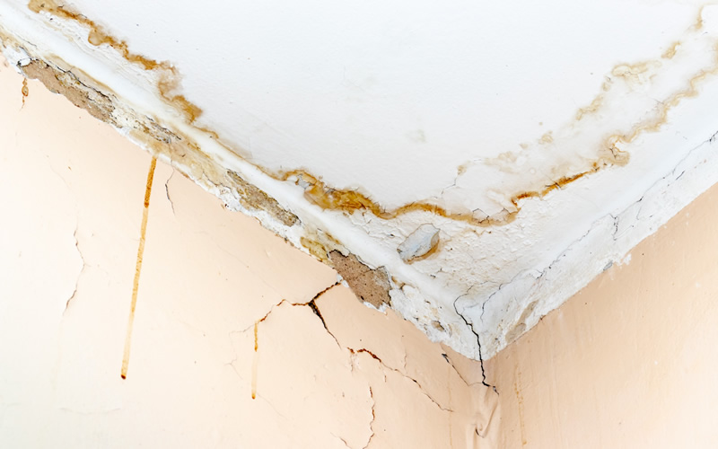 Visible evidence of penetrating damp on internal ceiling and wall. 