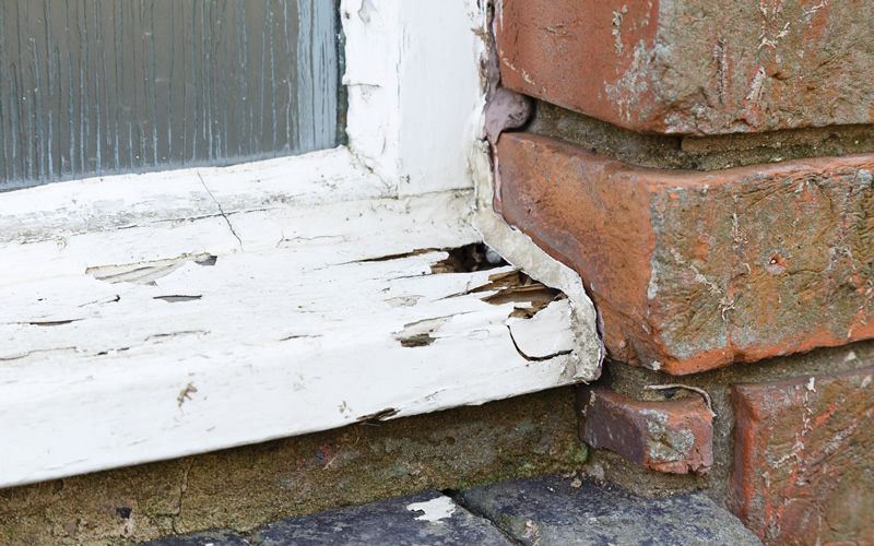 Wet rot in external timber window.
